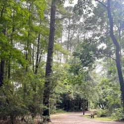 Clemens Park - Tomball