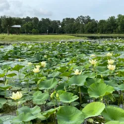 Clemens Park - Tomball
