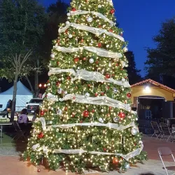 Tomball Depot - Tomball