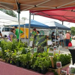 Tomball Farmers Market - Tomball