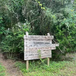 Tomball Nature Preserve - Tomball