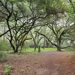 Tomball Nature Preserve - Tomball