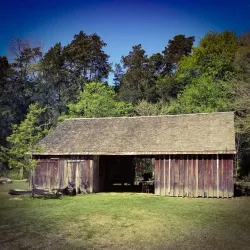 Tomball Nature Preserve - Tomball