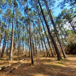 Tomball Nature Preserve - Tomball
