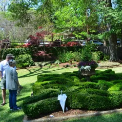Azalea & Spring Flower Trail - Tyler