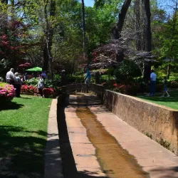 Azalea & Spring Flower Trail - Tyler