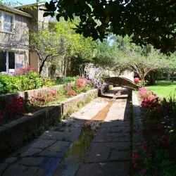 Azalea & Spring Flower Trail - Tyler