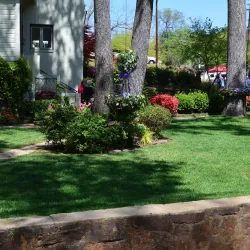 Azalea & Spring Flower Trail - Tyler