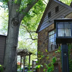 Azalea & Spring Flower Trail - Tyler