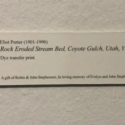 Tyler Museum of Art - Tyler