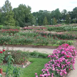 Tyler Rose Garden - Tyler