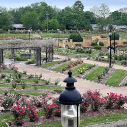 Tyler Rose Garden - Tyler