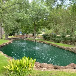 Tyler Rose Garden - Tyler