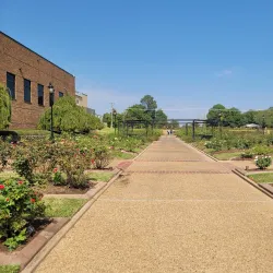 Tyler Rose Garden - Tyler