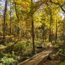 Tyler State Park - Tyler