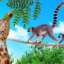 Cameron Park Zoo - Waco