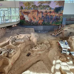 Waco Mammoth National Monument - Waco