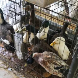 Heritage Park - Weatherford