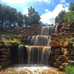 Lucy Park - Wichita Falls