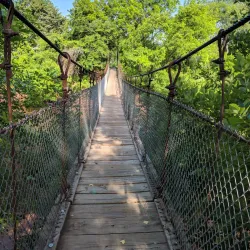 Lucy Park - Wichita Falls