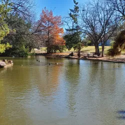 Lucy Park - Wichita Falls