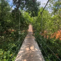 Lucy Park - Wichita Falls