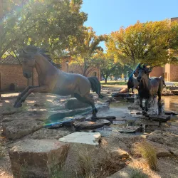 Midwestern State University Campus - Wichita Falls