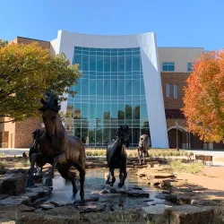 Midwestern State University Campus - Wichita Falls