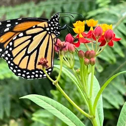 River Bend Nature Center - Wichita Falls
