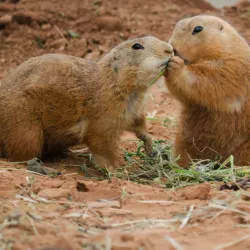 River Bend Nature Center - Wichita Falls