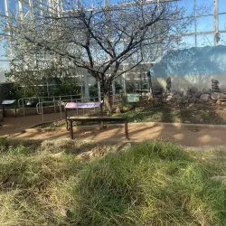 River Bend Nature Center - Wichita Falls