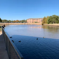 Wichita Falls Museum of Art at Midwestern State University - Wichita Falls