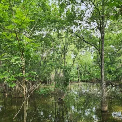 Heard Natural Science Museum & Wildlife Sanctuary - Wylie