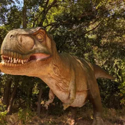 Heard Natural Science Museum & Wildlife Sanctuary - Wylie