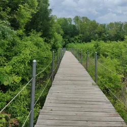 Heard Natural Science Museum & Wildlife Sanctuary - Wylie