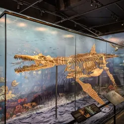 Heard Natural Science Museum & Wildlife Sanctuary - Wylie