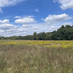 Heard Natural Science Museum & Wildlife Sanctuary - Wylie