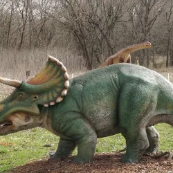 Heard Natural Science Museum & Wildlife Sanctuary - Wylie