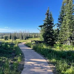 Cedar Breaks National Monument - Cedar City