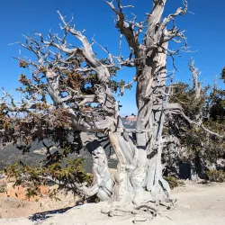 Cedar Breaks National Monument - Cedar City