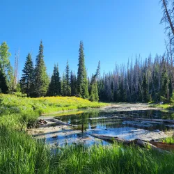 Cedar Breaks National Monument - Cedar City