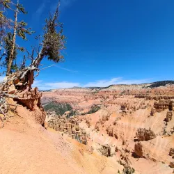 Cedar Breaks National Monument - Cedar City