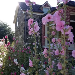 Centerville Historic District - Centerville