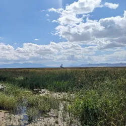 Great Salt Lake Shorelands Preserve (nearby) - Centerville