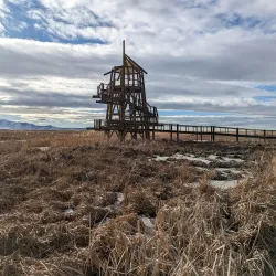 Great Salt Lake Shorelands Preserve (nearby) - Centerville