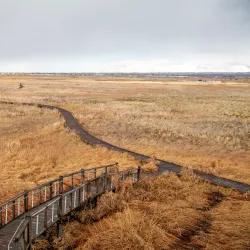 Great Salt Lake Shorelands Preserve (nearby) - Centerville