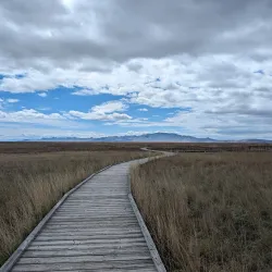 Great Salt Lake Shorelands Preserve (nearby) - Centerville