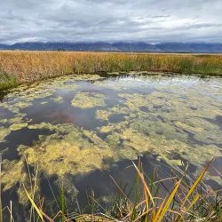 Great Salt Lake Shorelands Preserve (nearby) - Centerville