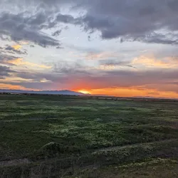 Legacy Nature Preserve - Centerville