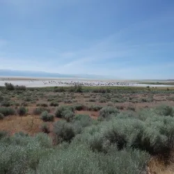 Legacy Nature Preserve - Centerville